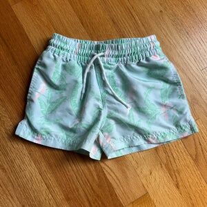 The Beaufort Bonnet Company TBBC boys bathing suit 4T